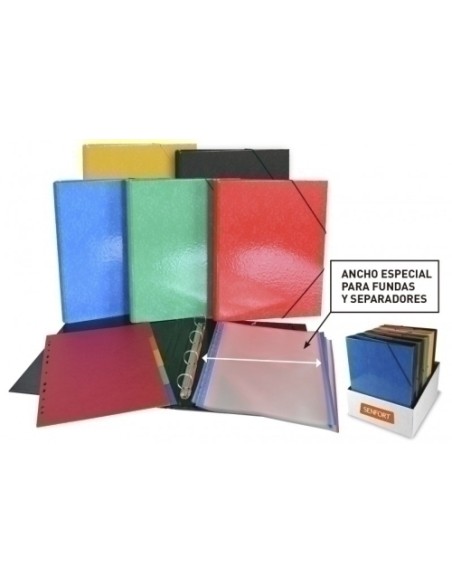 CARPETA SENFORT ESP. Fº 4 AN.30 EXP. 10